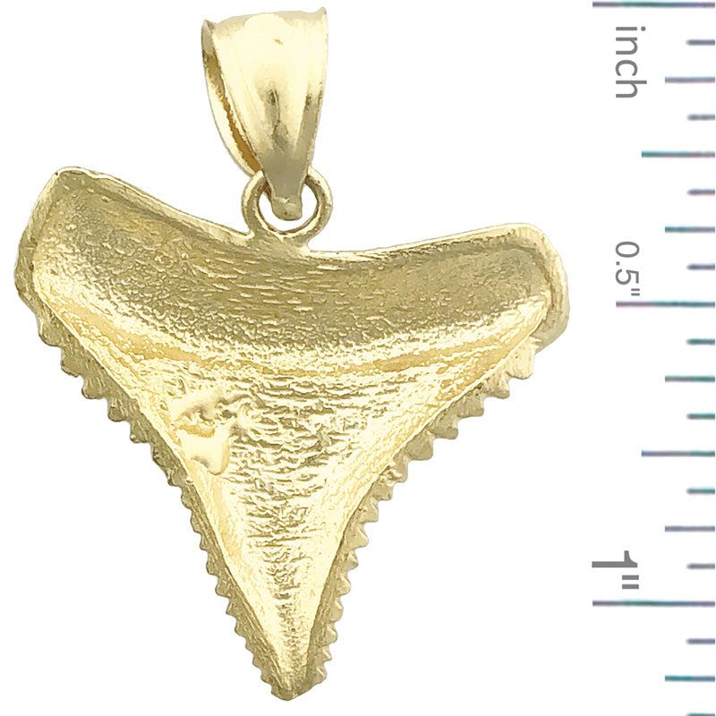 14K Gold Serrated Shark Tooth Pendant
