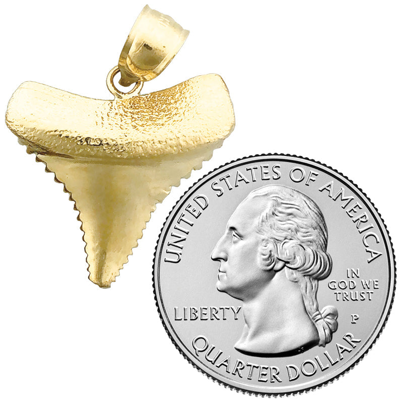 14K Gold Serrated Shark Tooth Pendant