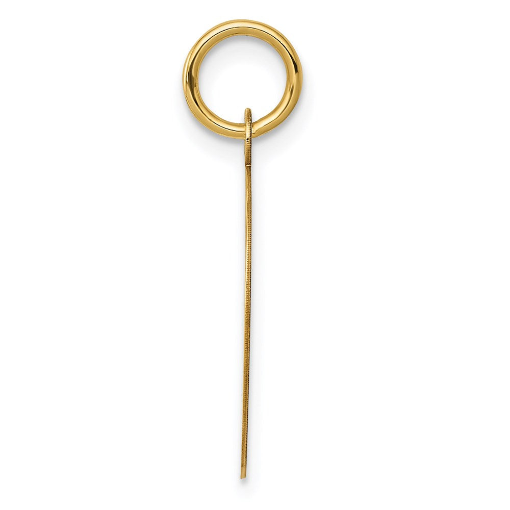 14k Yellow Gold 14k Record Album Charm