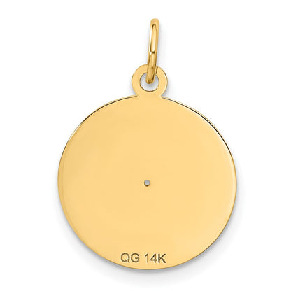 14k Yellow Gold 14k Record Album Charm
