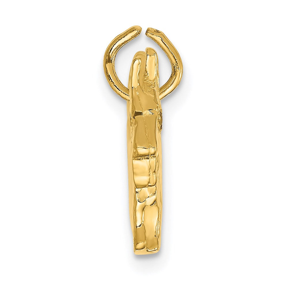 14k Yellow Gold 14k Ruby Eye Scottie Dog Charm