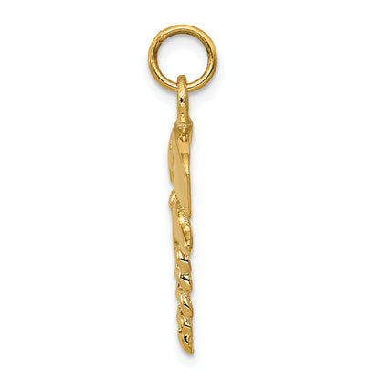 14k Yellow Gold 14k Nurse Symbol Charm