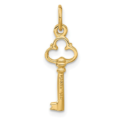 14K Yellow Gold Polished Diamond-Cut 3D Key Charm