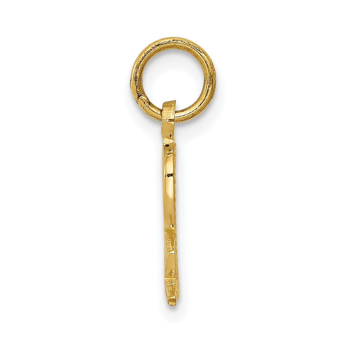 14K Yellow Gold Prescription Symbol Rx Charm