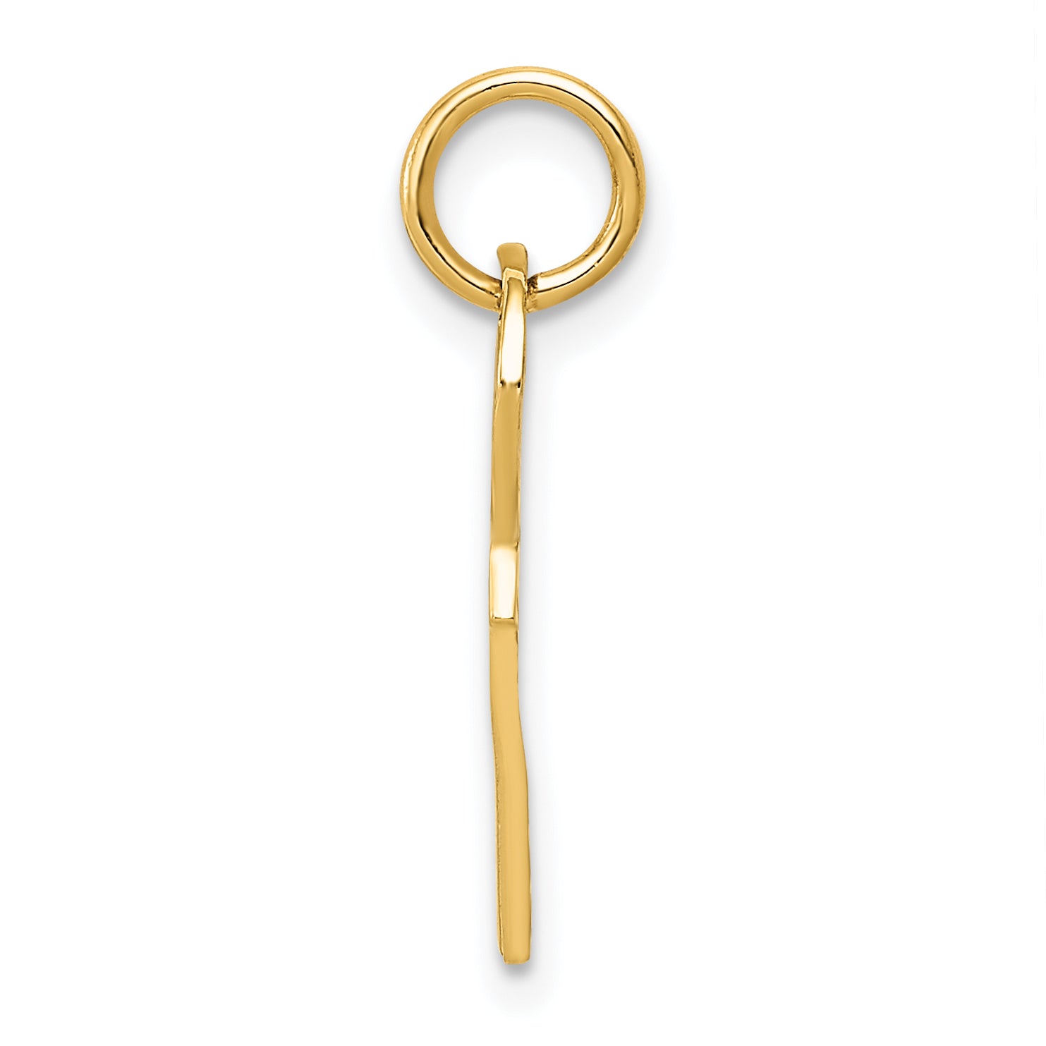 14K Yellow Gold Polished 3D Rounded Top Key Charm