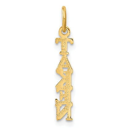 14K Yellow Gold Polished Taken Charm