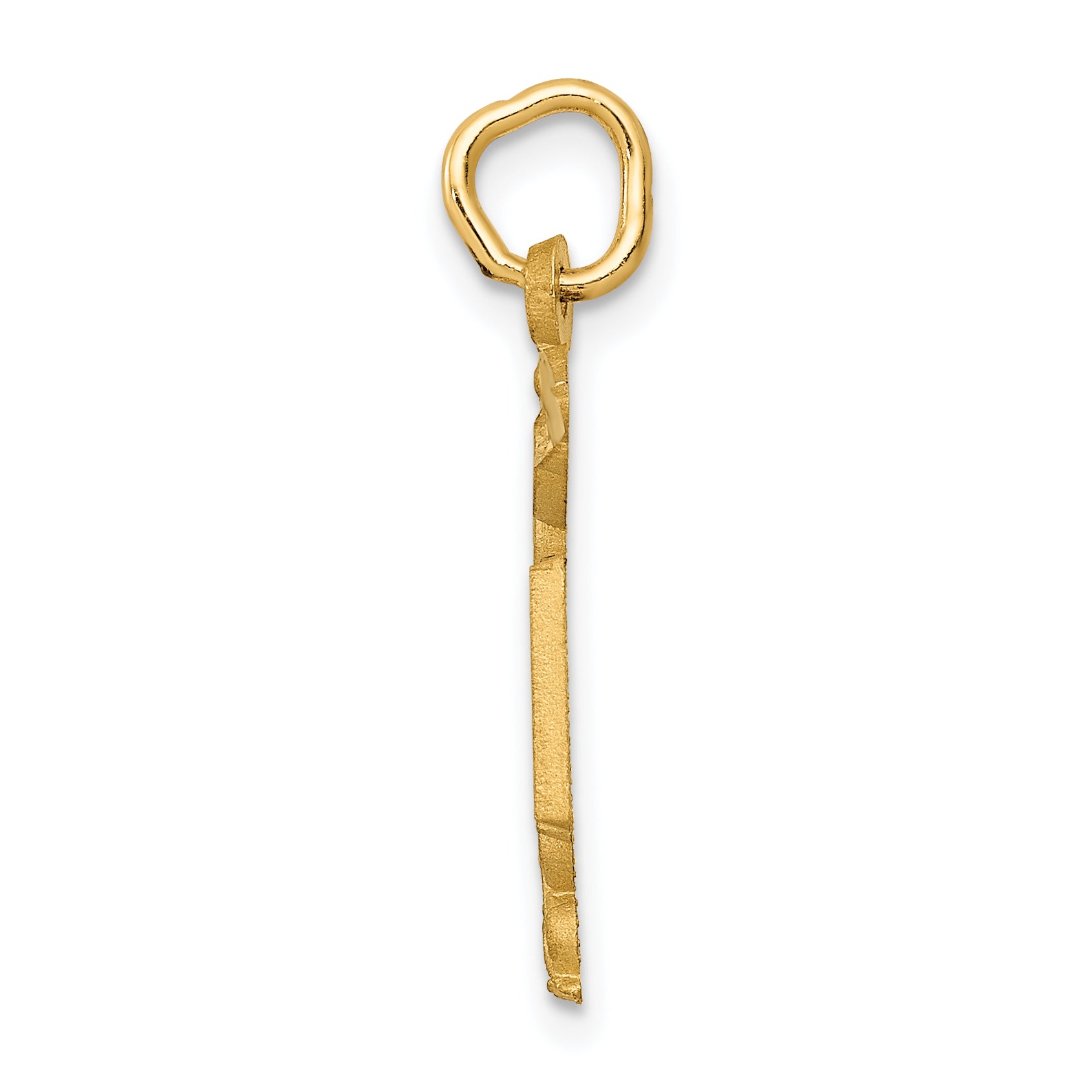 14K Yellow Gold Rn Nurse Charm