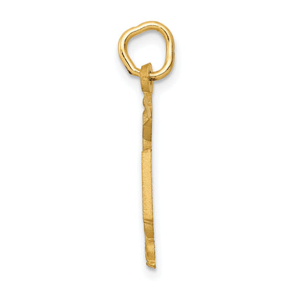 14K Yellow Gold Rn Nurse Charm