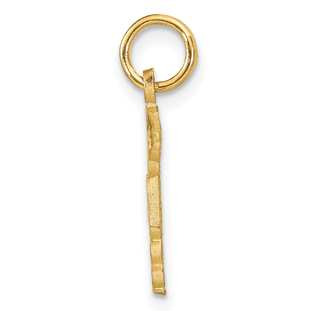 14K Yellow Gold Rn Nurse Charm