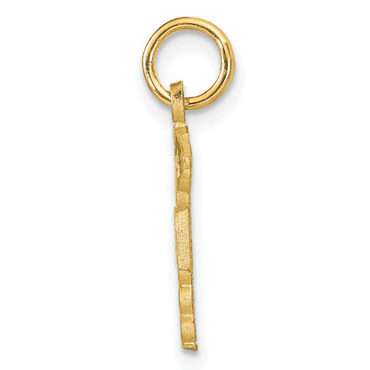 14K Yellow Gold Rn Nurse Charm