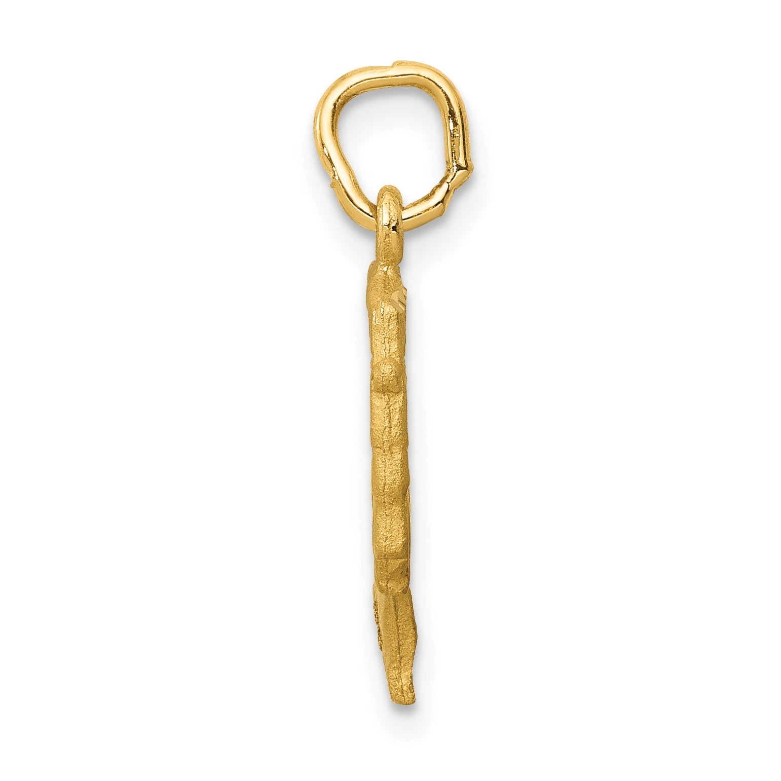 14K Yellow Gold Satin Front / Polished Back Nefertiti Charm