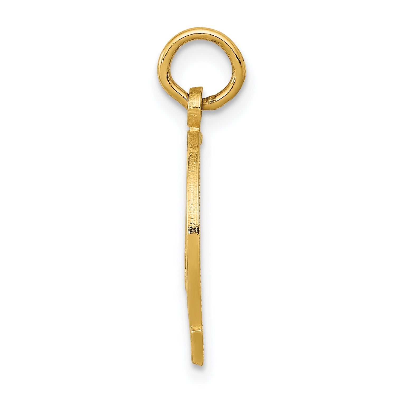 14K Yellow Gold Horseshoe Charm