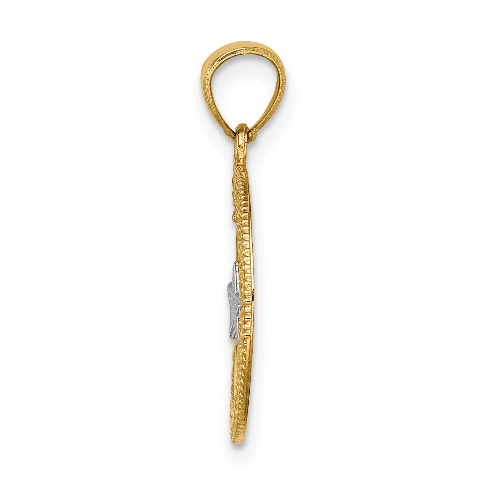 14K Yellow & Rhodium W/Rhodium Star Moon Pendant