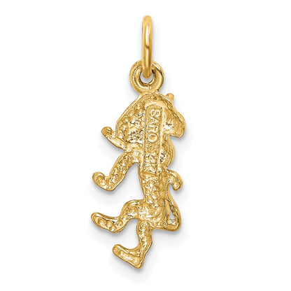 14K Yellow Gold Satin Diamond-Cut Leo Zodiac Charm