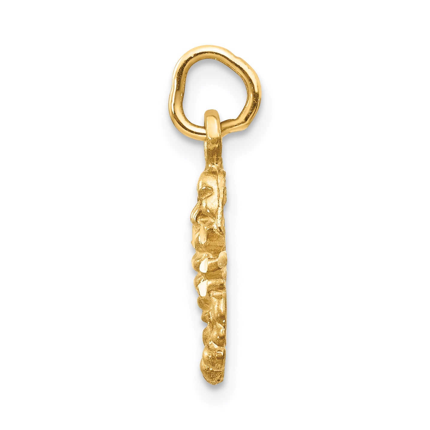 14K Yellow Gold Satin Diamond-Cut Scorpio Zodiac Charm