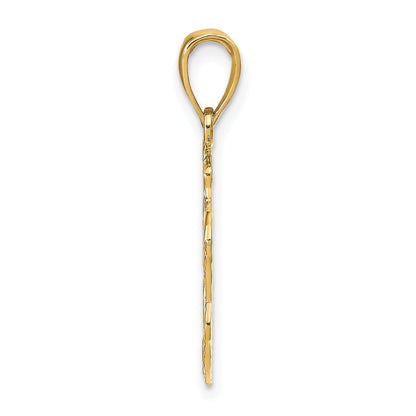 14K Yellow Gold Lion Head Pendant
