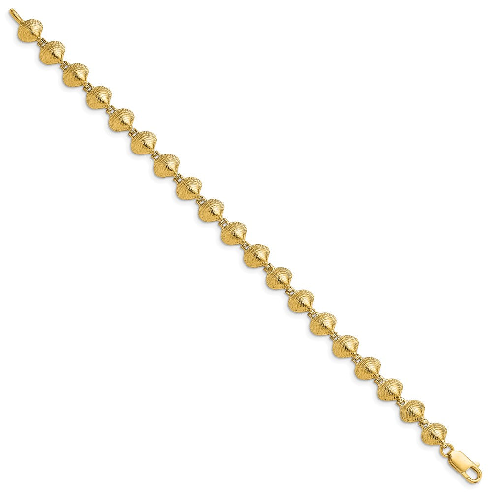 7 Inch 14K Clam Shell Bracelet