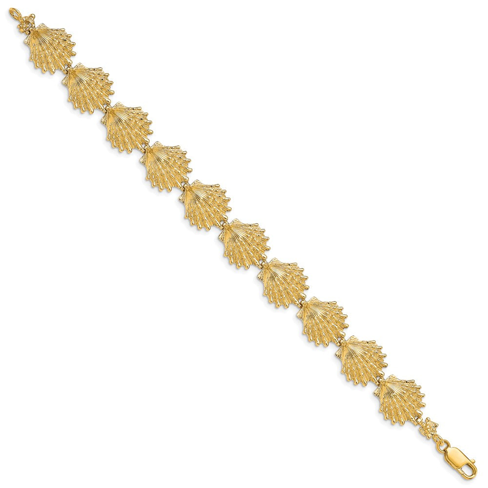 7 Inch 14K Lion'S Paw Shell Bracelet