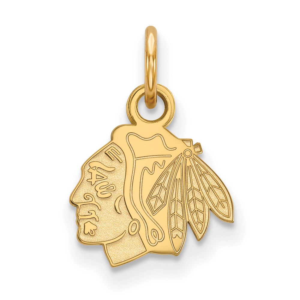 Gold Plated Sterling Silver Nhl Logoart Chicago Blackhawks Extra Small Pendant