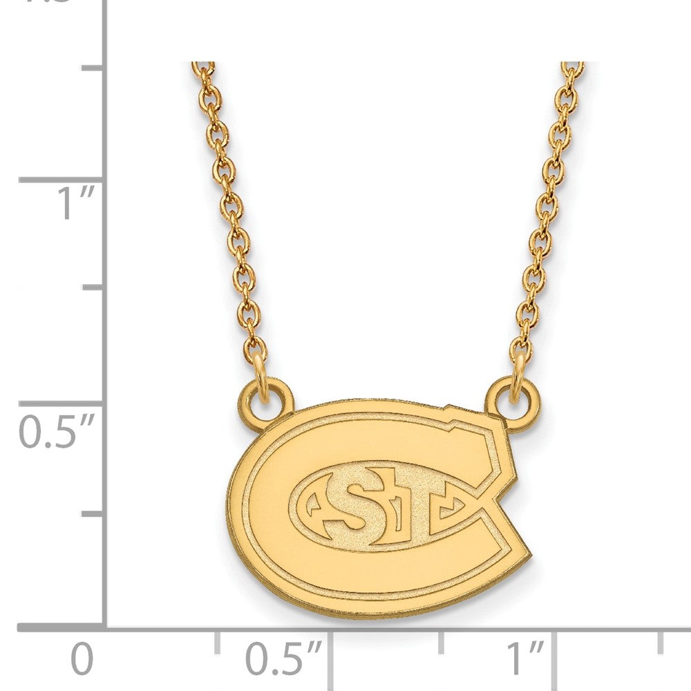 10K Yellow Gold Logoart St. Cloud State University Small Pendant 18 Inch Necklace