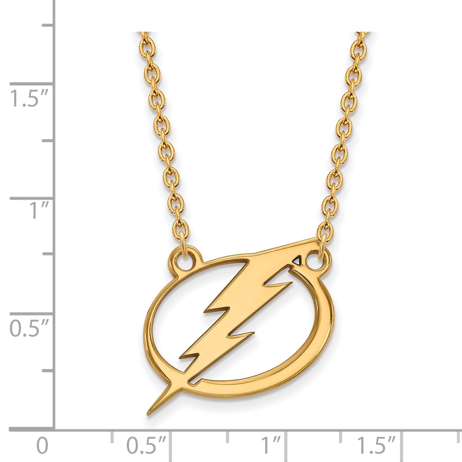 Gold Plated Sterling Silver Nhl Logoart Tampa Bay Lightning Large Pendant 18 Inch Necklace