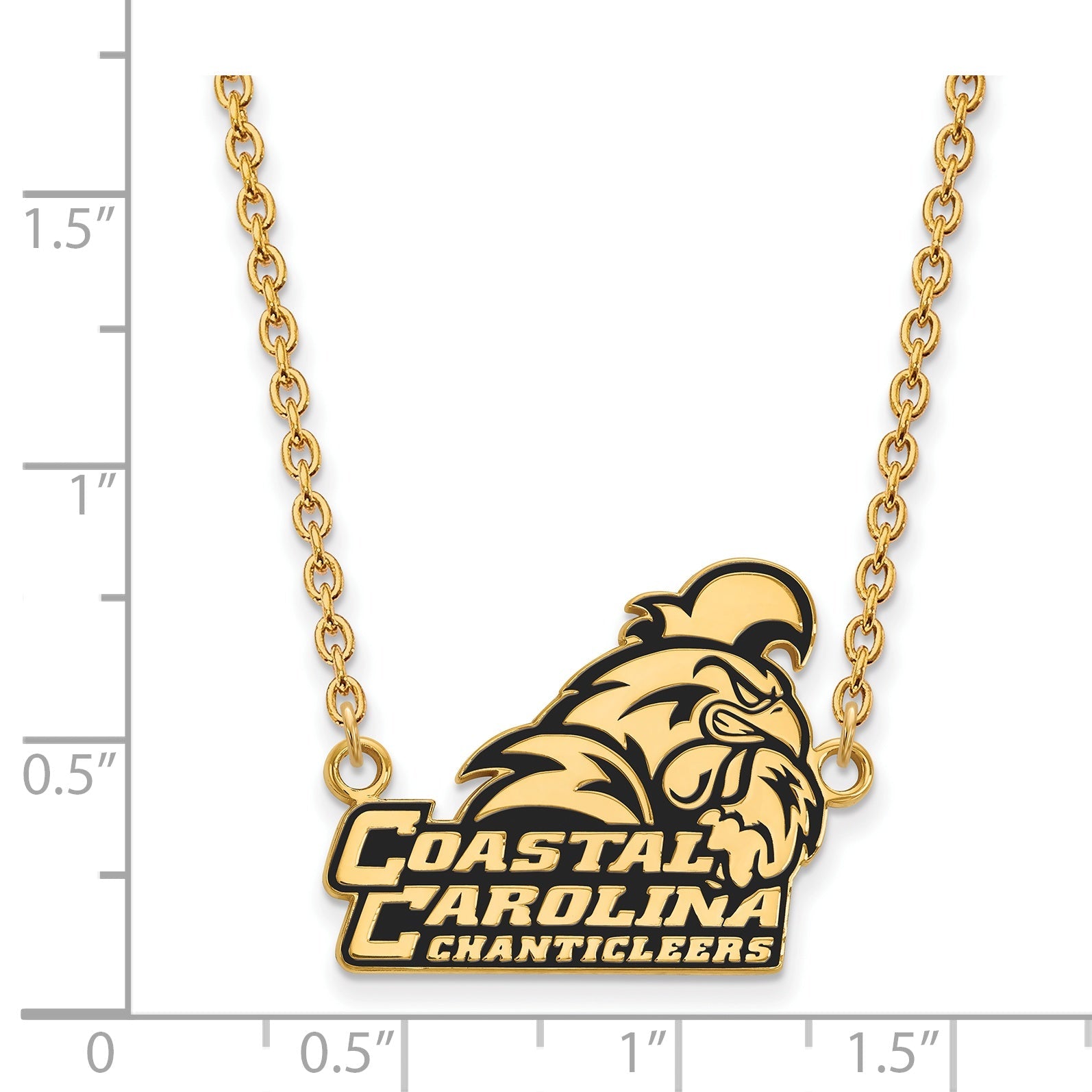 Gold Plated Sterling Silver Logoart Coastal Carolina University Chanticleers Large Enameled Pendant 18 Inch Necklace