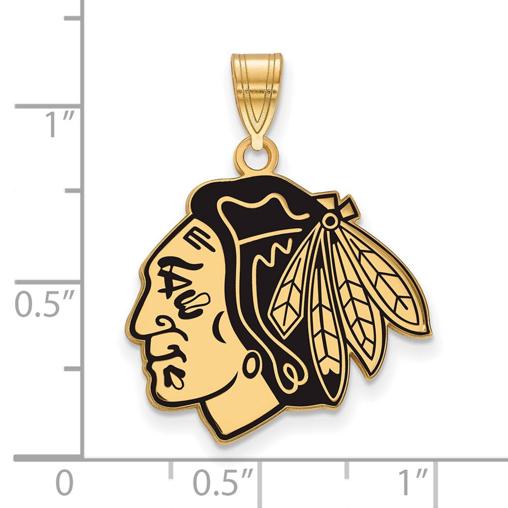 Gold Plated Sterling Silver Nhl Logoart Chicago Blackhawks Large Enameled Pendant