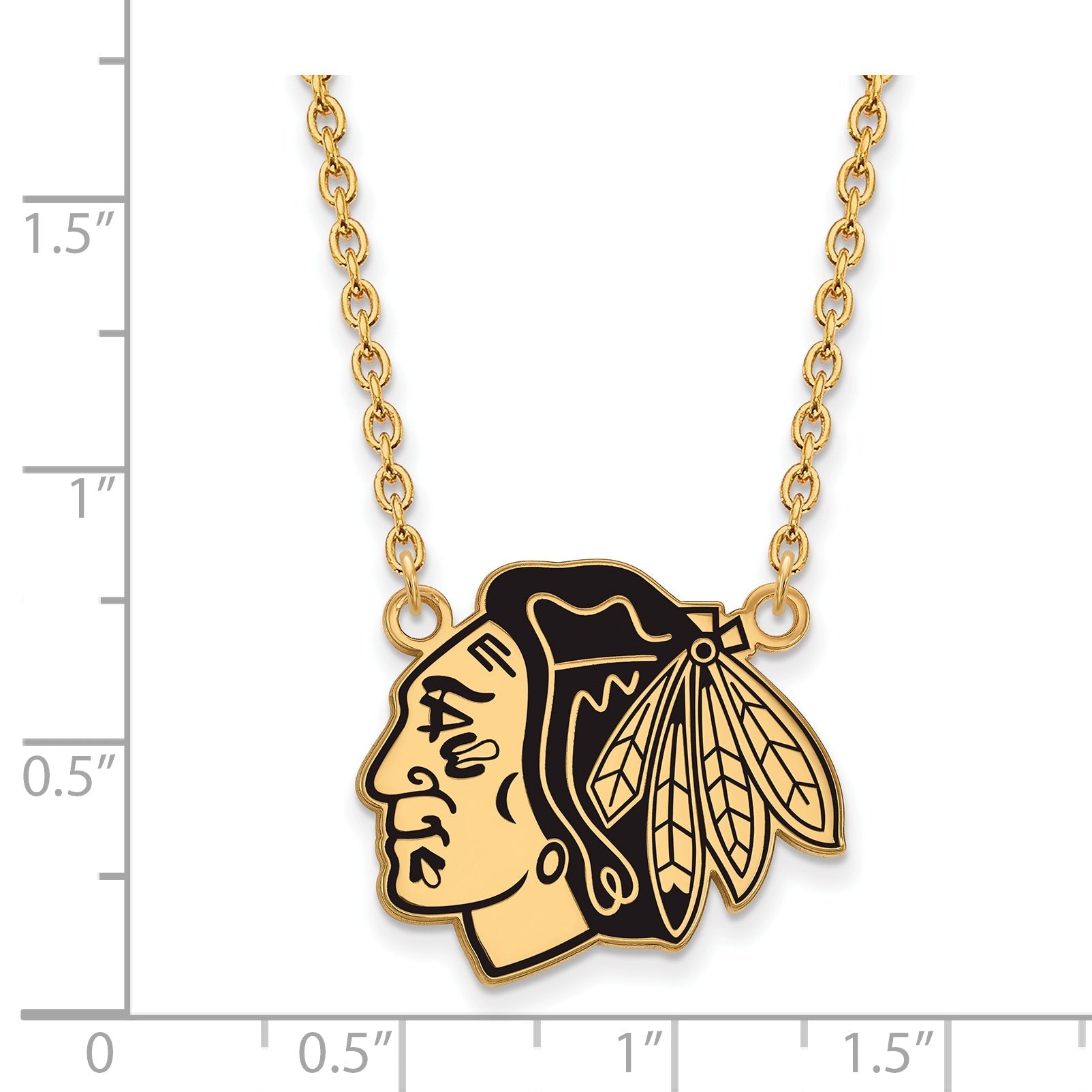 Gold Plated Sterling Silver Nhl Logoart Chicago Blackhawks Large Enameled Pendant 18 Inch Necklace
