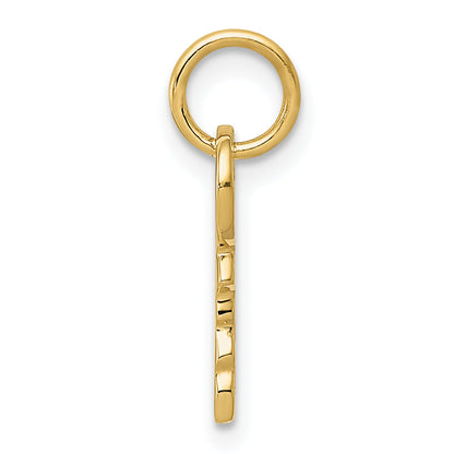 14K Yellow Gold Polished 3D Rounded Top Key Charm