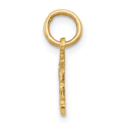 14K Yellow Gold Swiss Cheese Charm