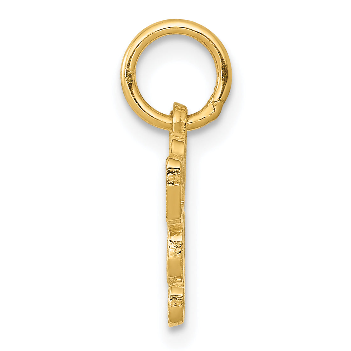 14K Yellow Gold Saint Bernard Charm