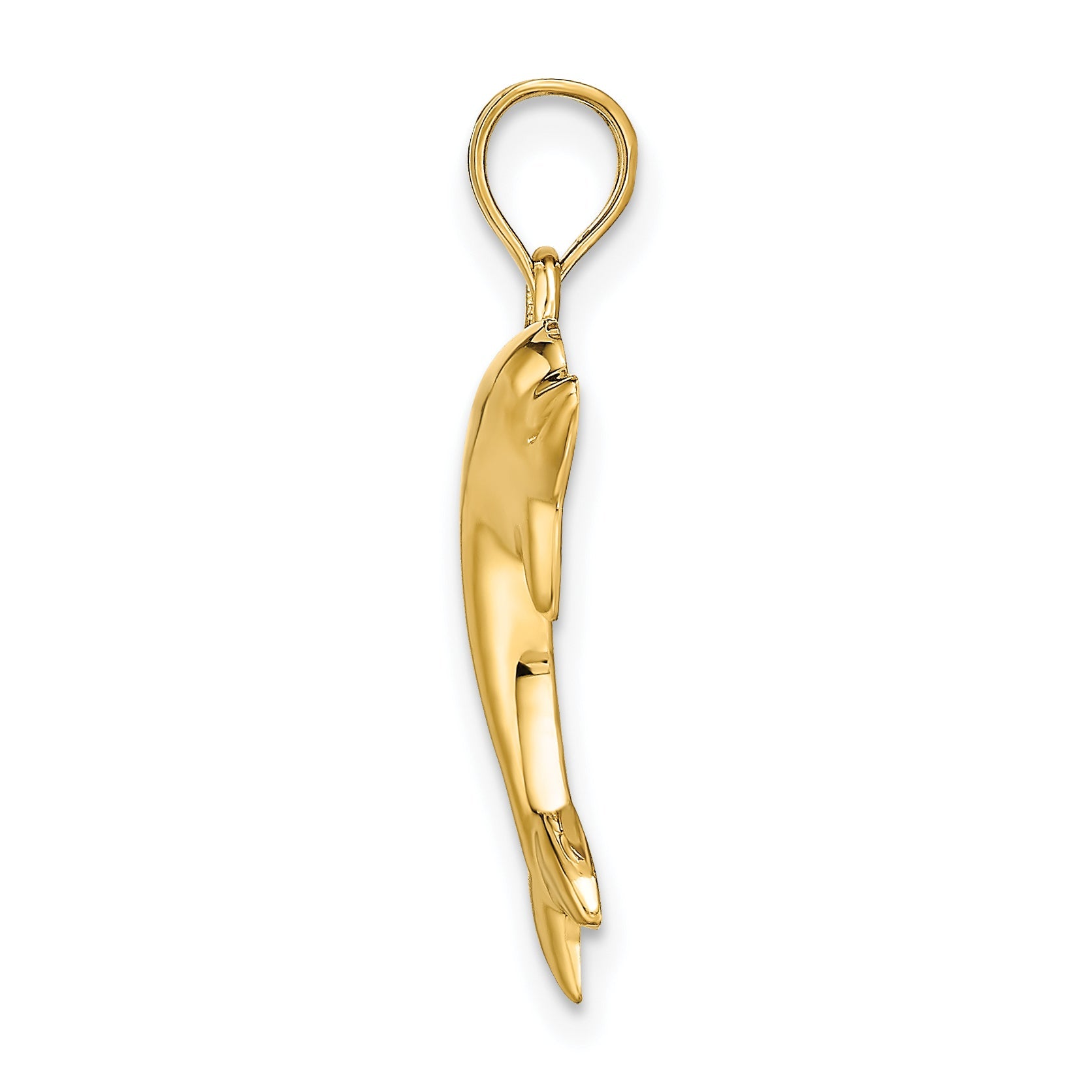 14K Yellow Gold Polished Dolphin Charm