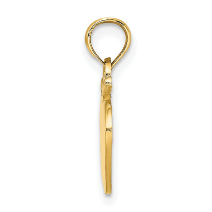 14K Yellow Gold Polished Apple Charm