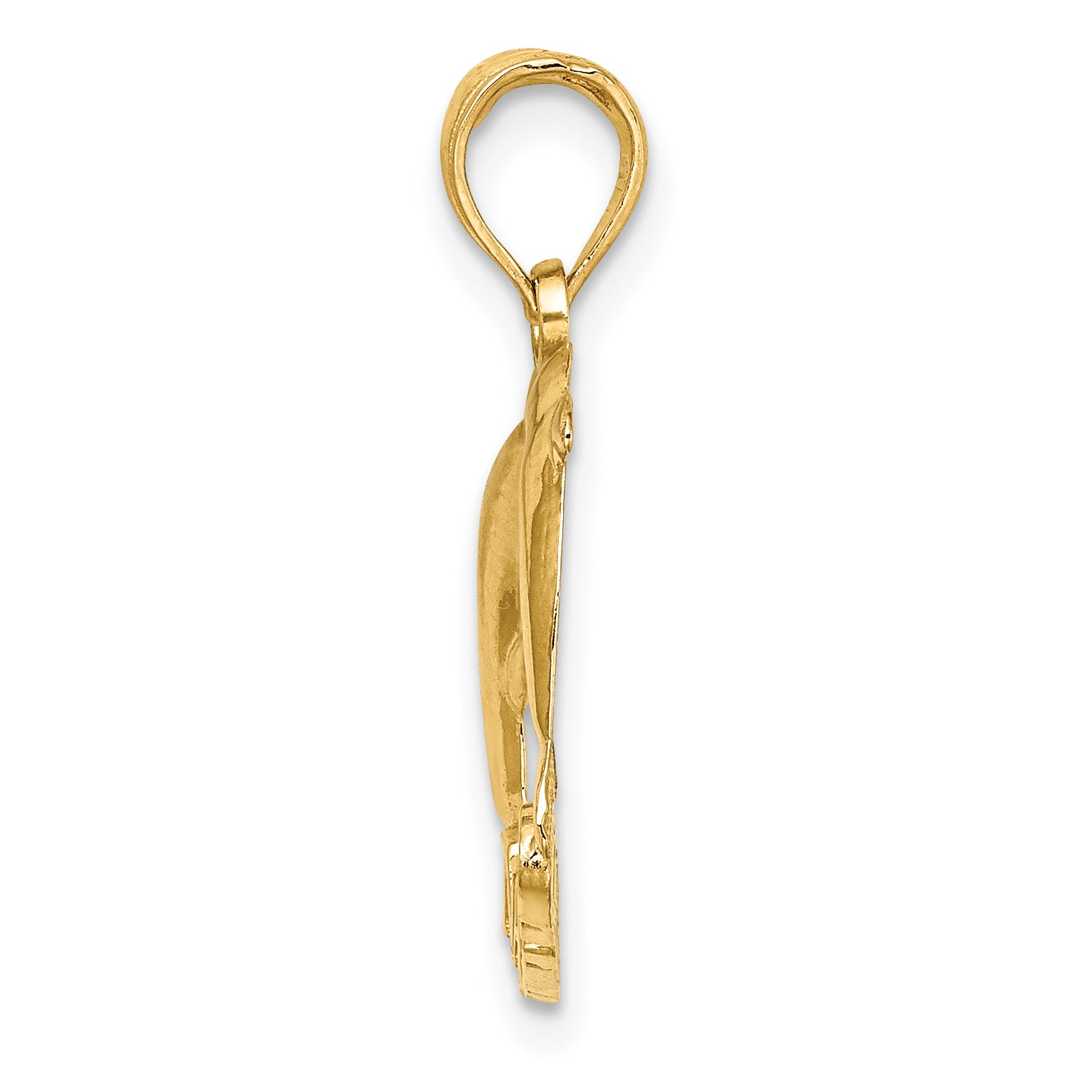 14K Yellow Gold Polished Nags Head W/ Jumping Dolphins Charm