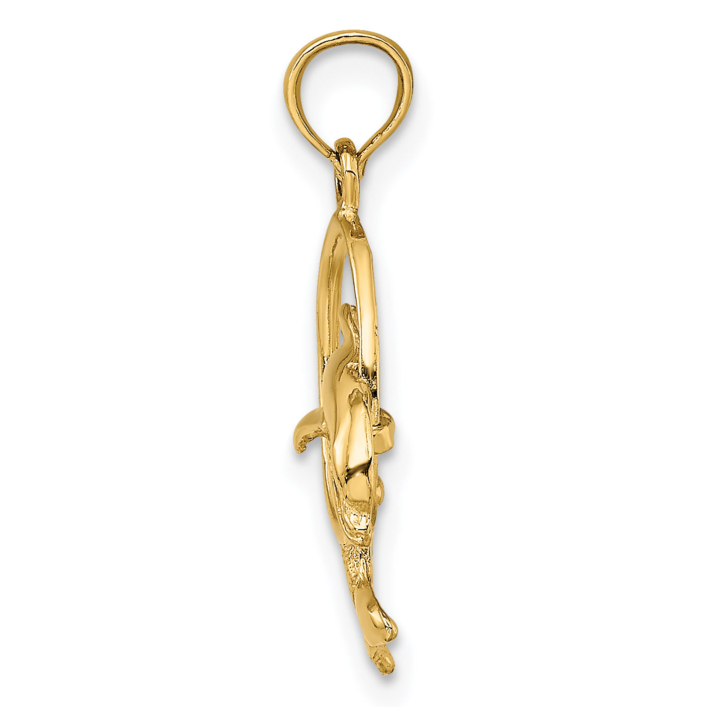 14K Yellow Gold Polished Dolphin Jumping Through Hoop Charm