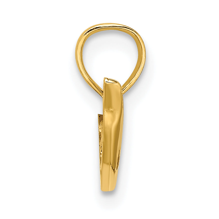 14K Yellow Gold Polished Mini Dolphin Charm