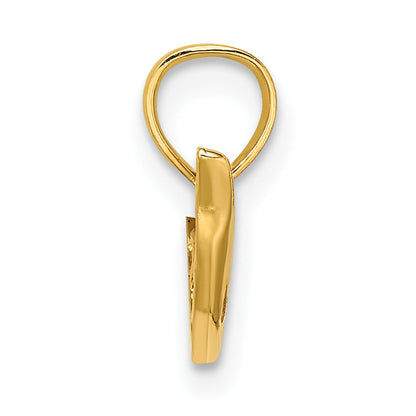 14K Yellow Gold Polished Mini Dolphin Charm