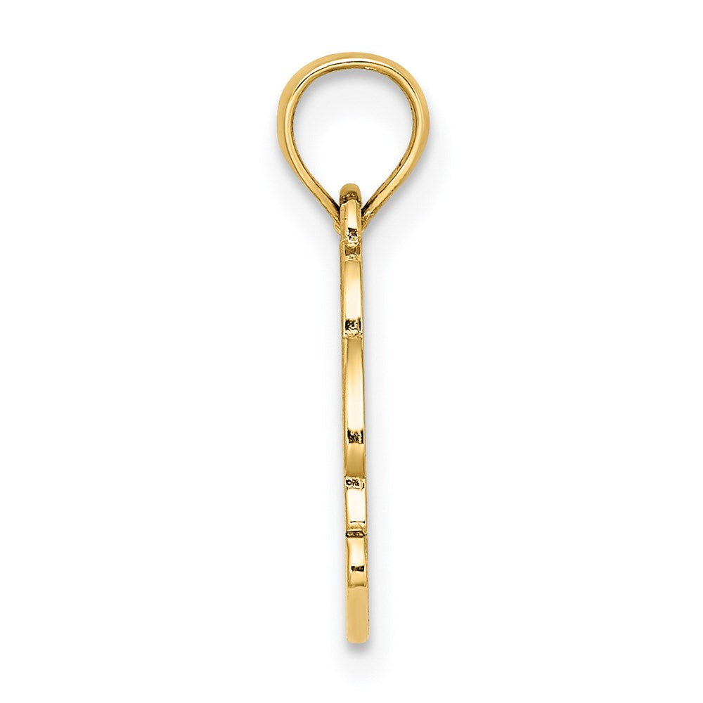 14K Yellow Gold Textured Nags Head W/ Dolphin Charm