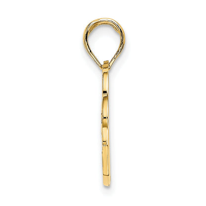 14K Yellow Gold San Diego Banner Dolphins Charm