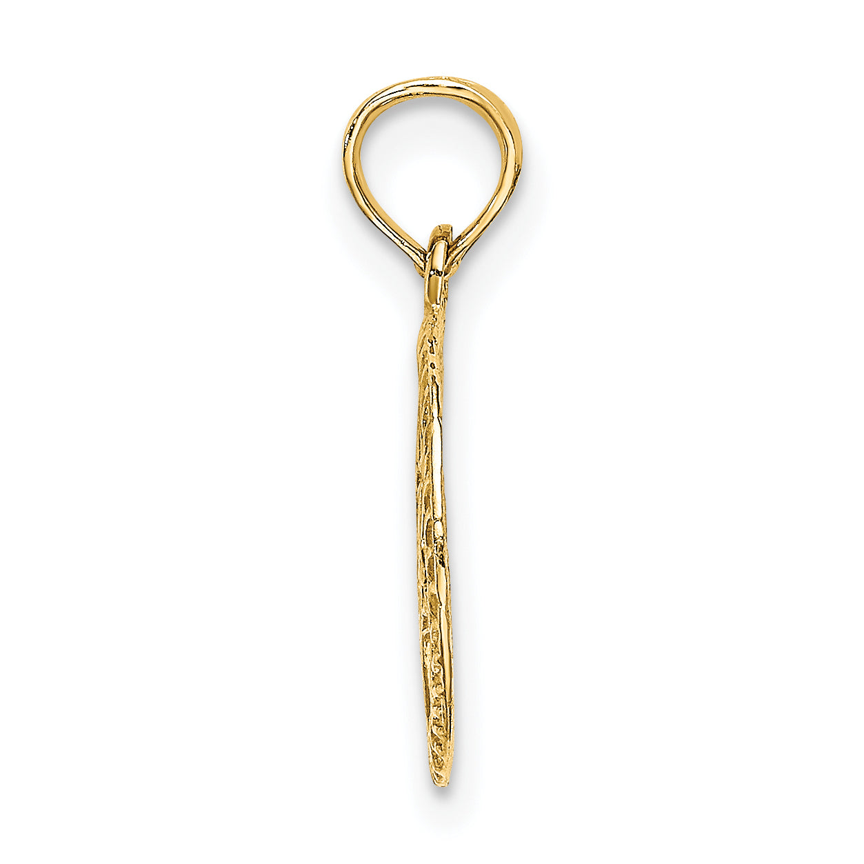 14K Yellow Gold Engraved Star Of David In Circle Charm