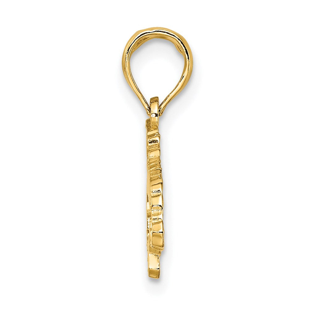 14K Yellow Gold Textured Jamaica Map Charm