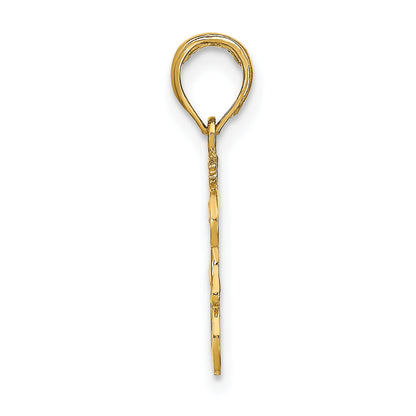 14K Yellow Gold Leo Zodiac Charm