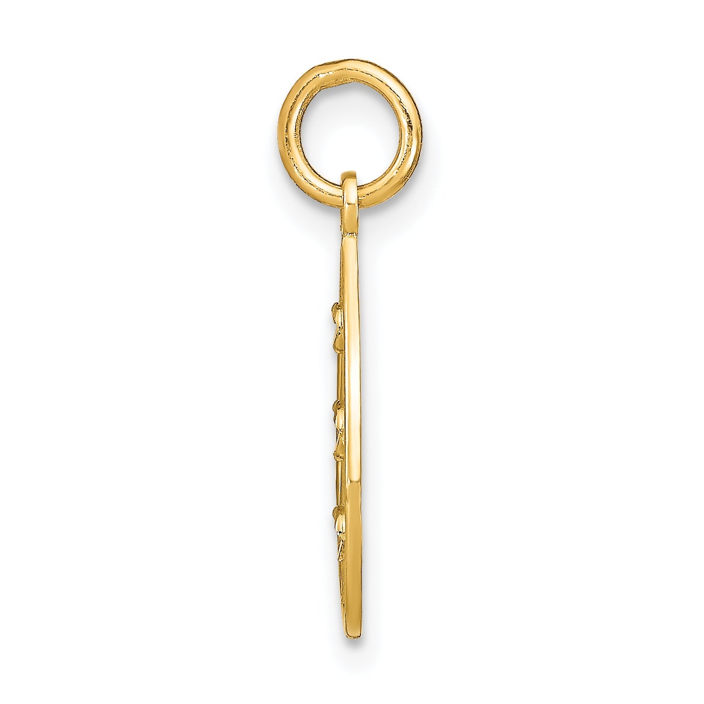 14K Yellow & Rhodium W/Rhodium D/C Small Teardrop Charm