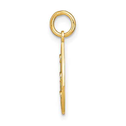 14K Yellow & Rhodium W/Rhodium D/C Small Teardrop Charm