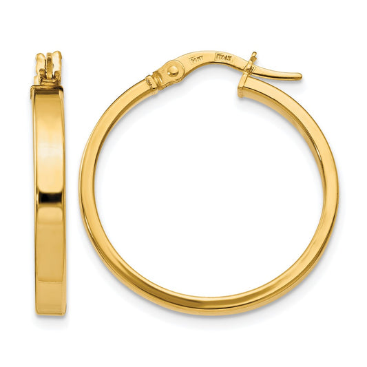 14K Yellow Gold Polished Earrings