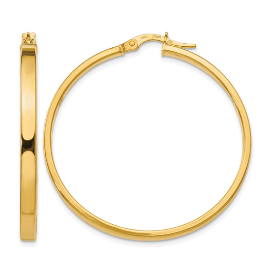 14K Yellow Gold Polished Earrings