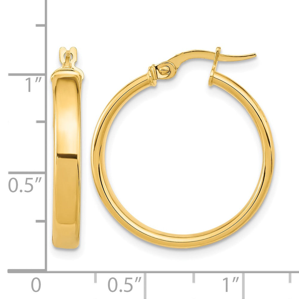 14K Yellow Gold Polished Earrings