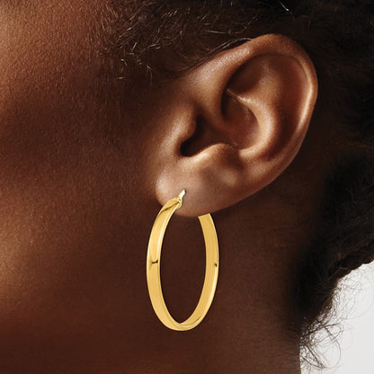 14K Yellow Gold Polished Earrings