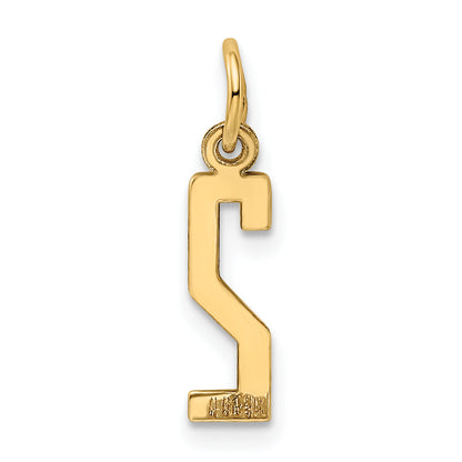 14K Yellow Gold Small Elongated Number 2 Charm