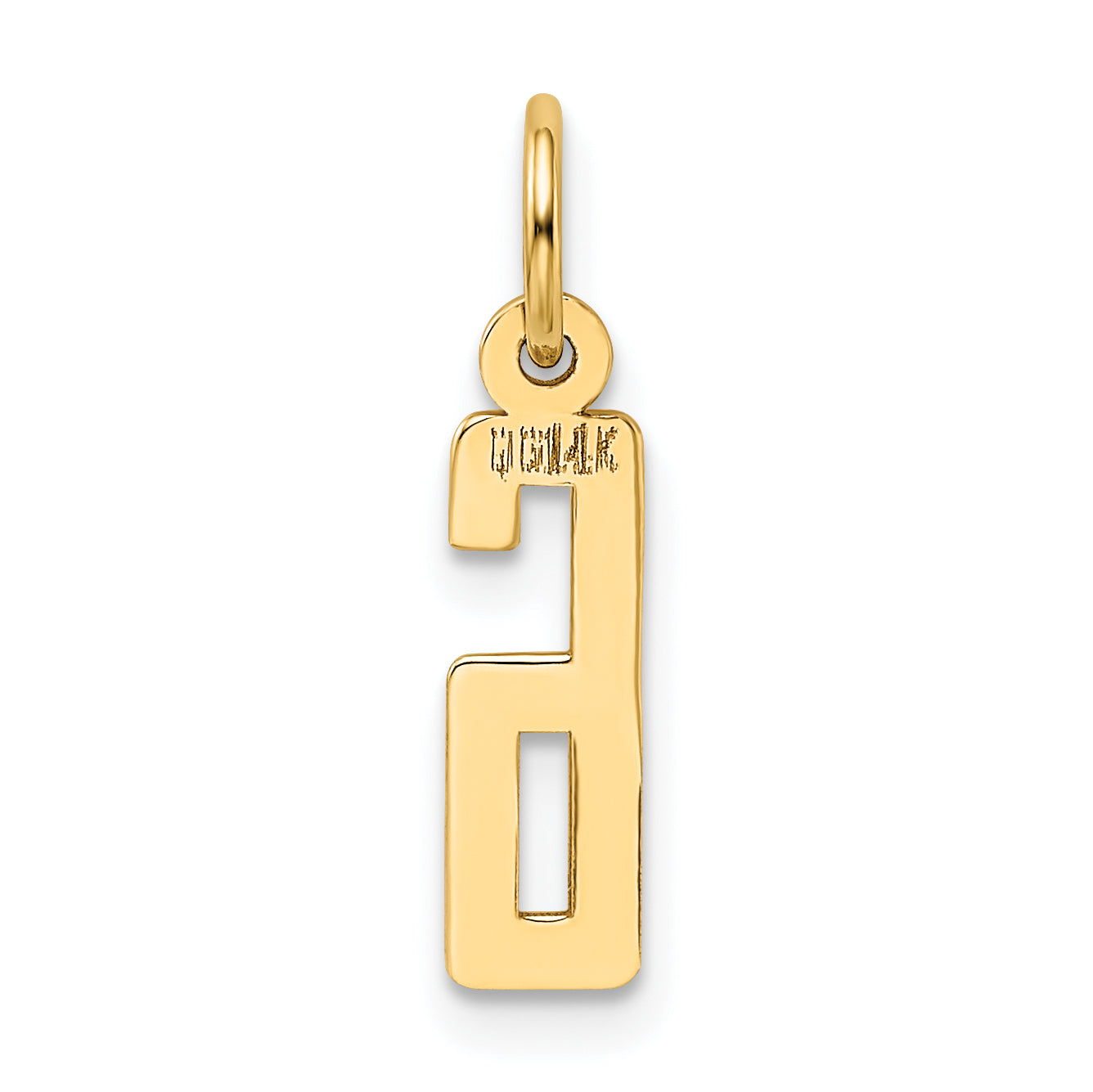 14K Yellow Gold Small Elongated Number 6 Charm